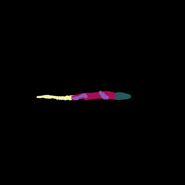 Segmentation Result 12